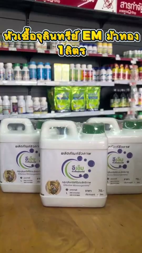 หัวเชื้อจุลินทรีย์ ม้าทอง